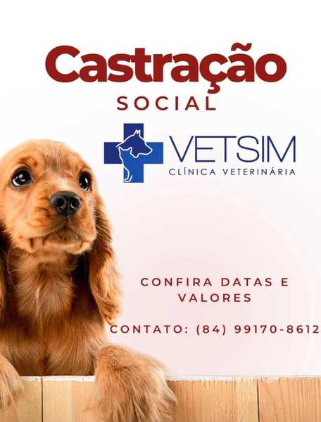 foto 3 de Vetsim - Clínica Veterinária
