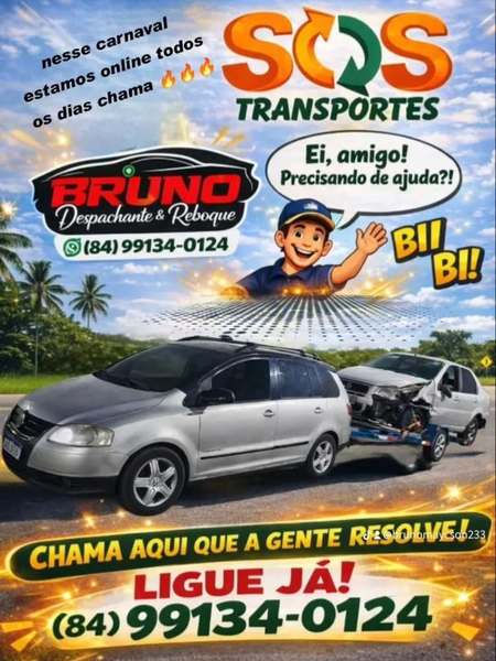 foto 3 de Bruno Despachante - Reboque e Guincho 24h