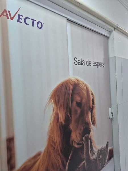foto 3 de Clinvet