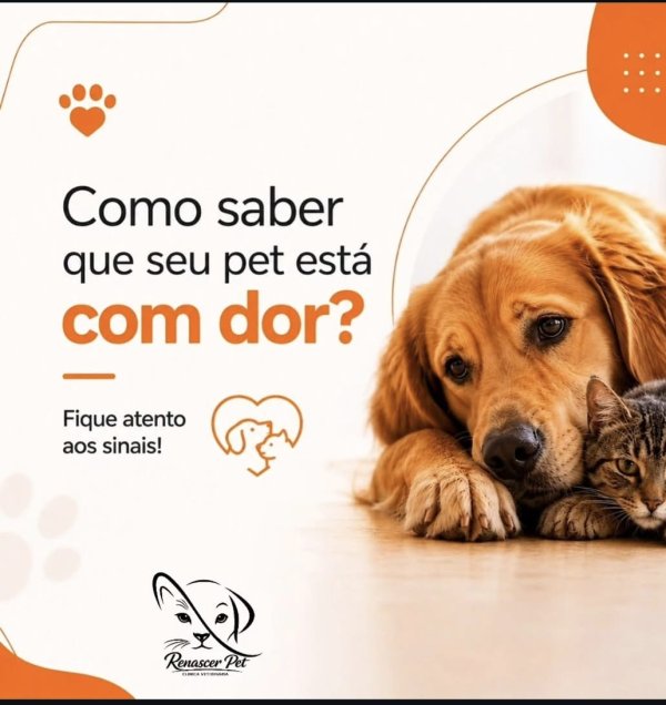 foto 1 de Renascer Pet
