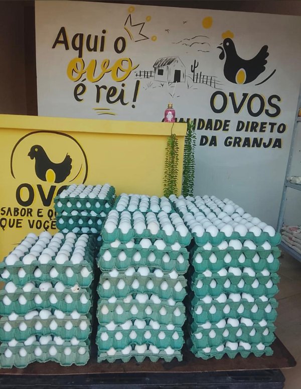 foto 2 de O Ponto do Ovo