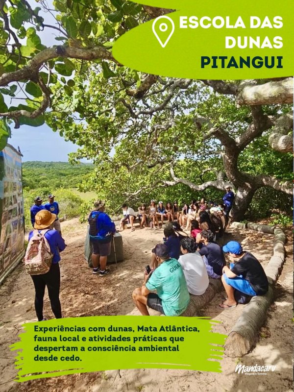 foto 4 de Mandacaru Viagens e Turismo