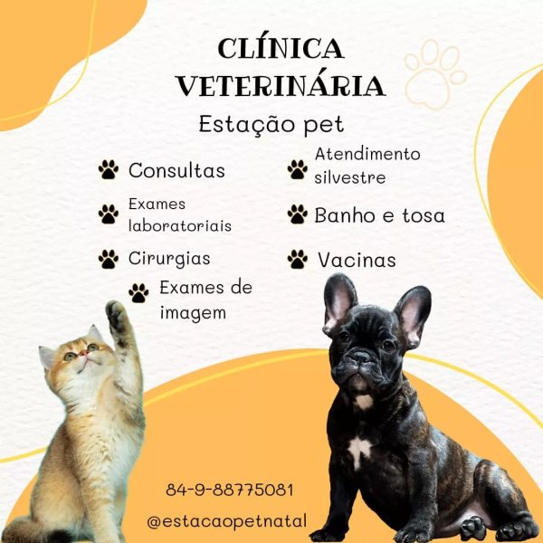 foto 1 de Clínica Veterinária Estação Pet