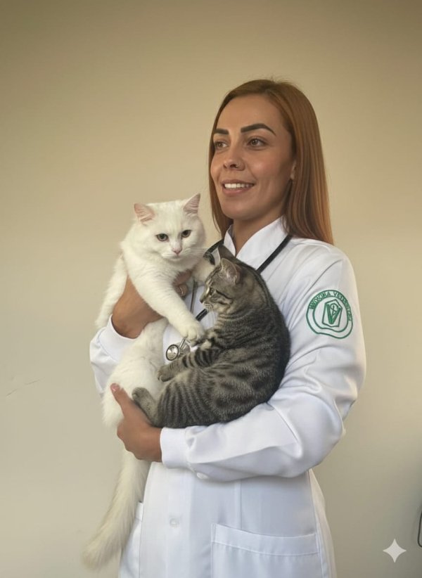 foto 4 de Clínica Veterinária Estação Pet
