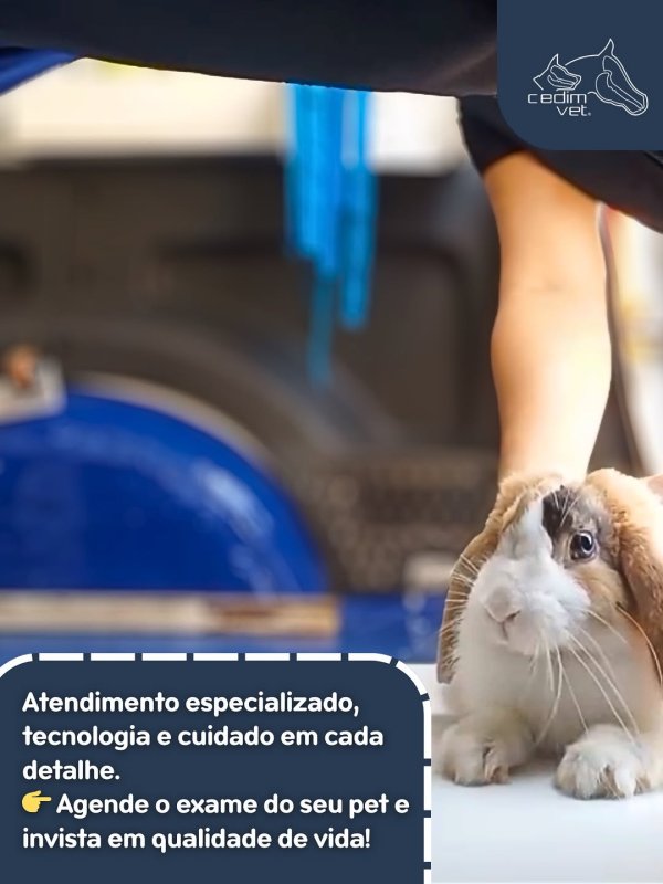 foto 1 de Cedimvet – Centro de Diagnóstico por Imagem Veterinária