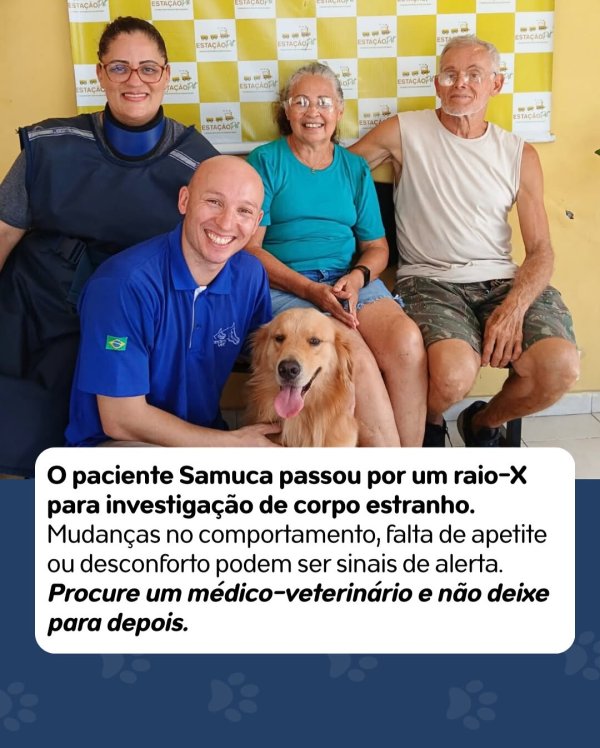foto 3 de Cedimvet – Centro de Diagnóstico por Imagem Veterinária