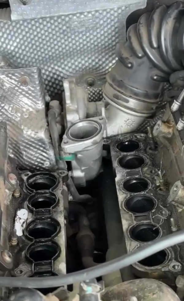 foto 4 de Senna Motors