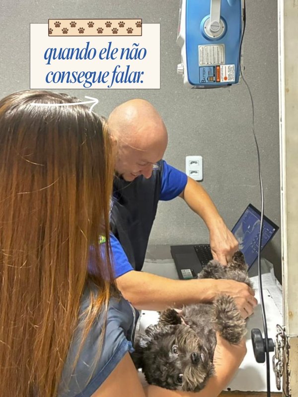foto 1 de Cedimvet – Centro de Diagnóstico por Imagem Veterinária