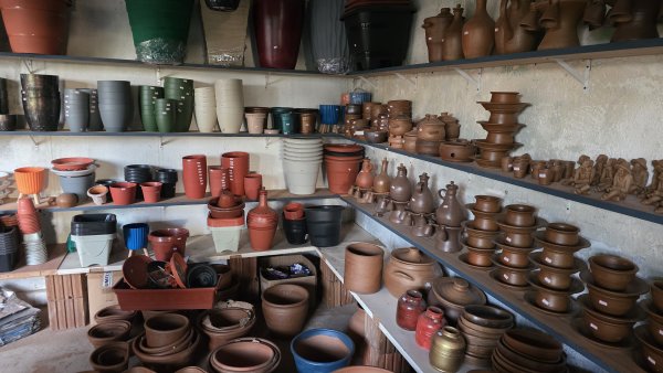 foto 3 de Jarros Plantas e Adubos Extremoz