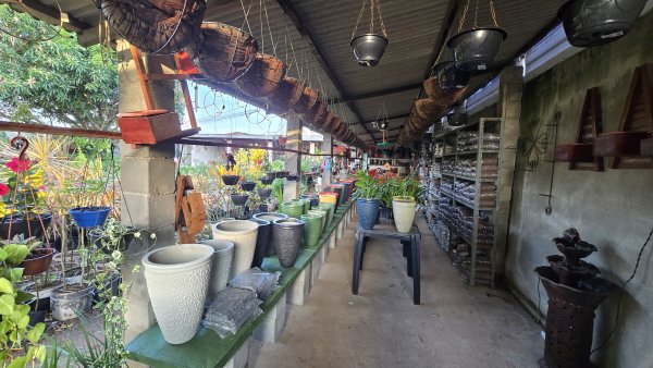 foto 3 de Jarros, Plantas e Adubos | Extremoz