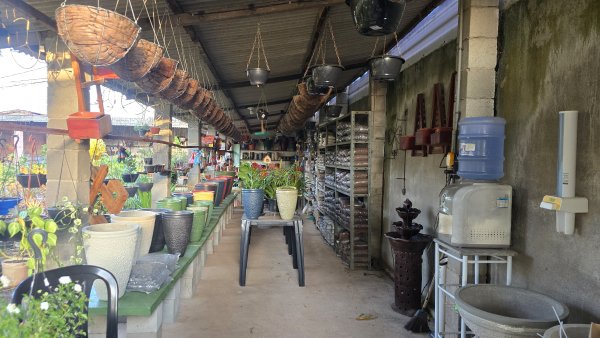 foto 2 de Jarros, Plantas e Adubos | Extremoz
