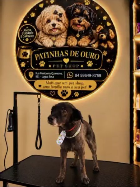 foto 4 de Patinhas de Ouro Pet Shop e Banho e Tosa