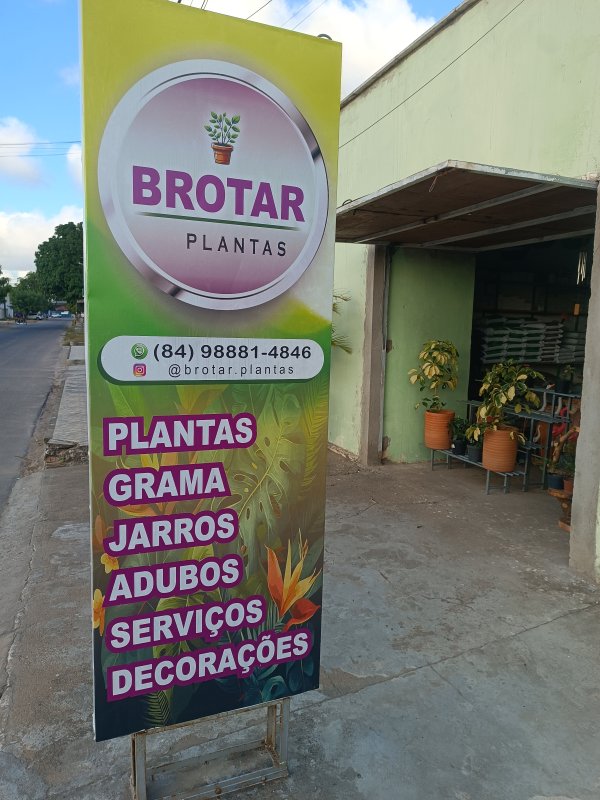 foto 1 de Brotar Plantas