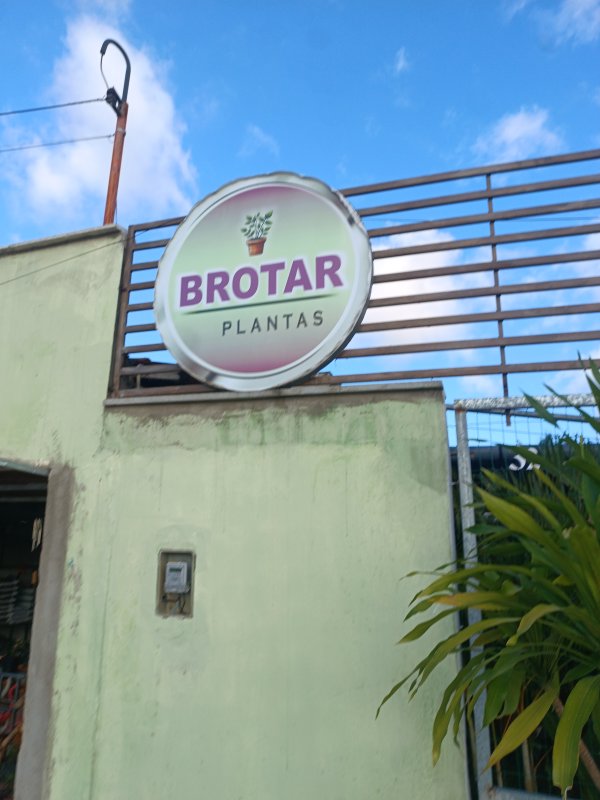 foto 2 de Brotar Plantas