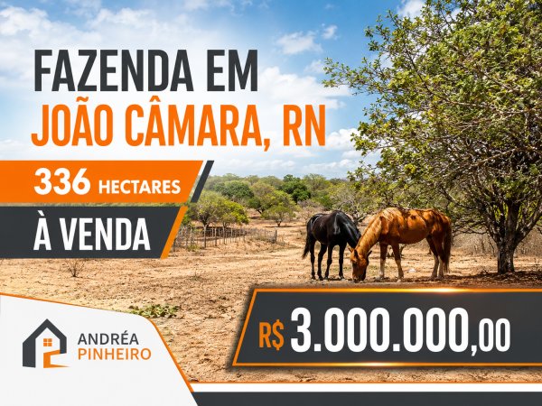 oferta Fazenda De 336 Hectares À Venda, Em João Câmara, Rn. da empresa Andrea Pinheiro Imóveis