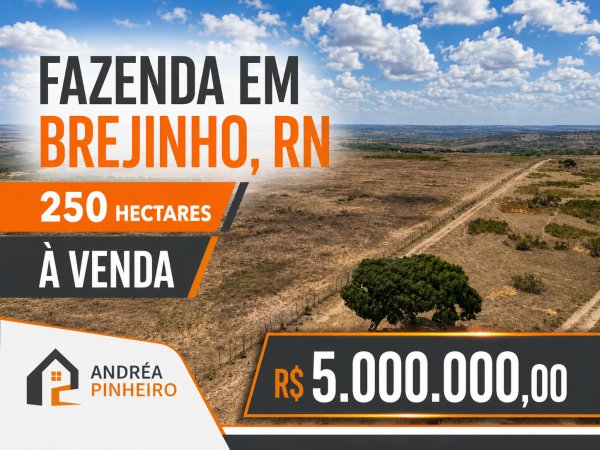 oferta Fazenda em Brejinho, RN da empresa Andrea Pinheiro Imóveis