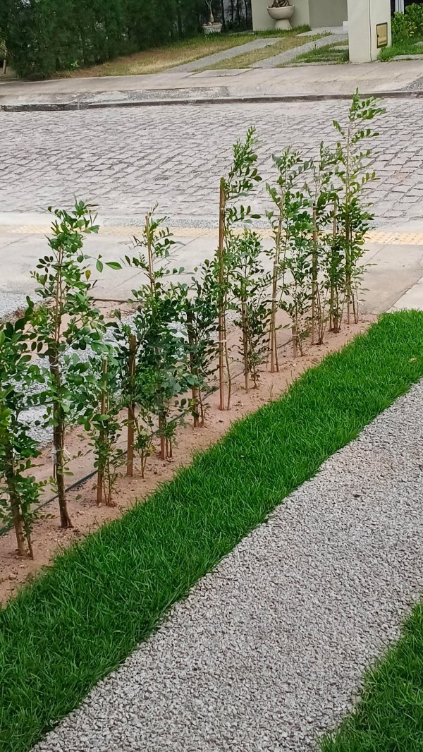 oferta Serviço De Jardinagem da empresa Ar Livre Paisagismo