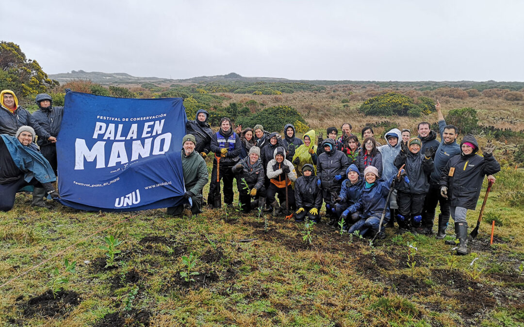 Midea fue parte del Festival Pala en Mano en Chiloé