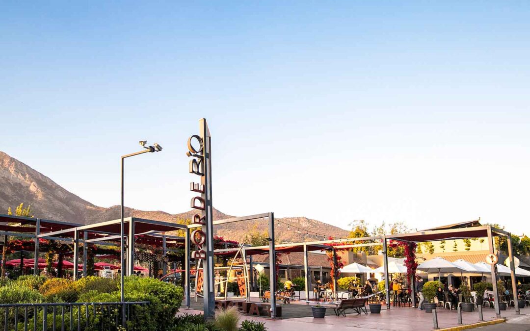 Día del Pinot Noir: curiosidades y cómo maridarlo de manera correcta