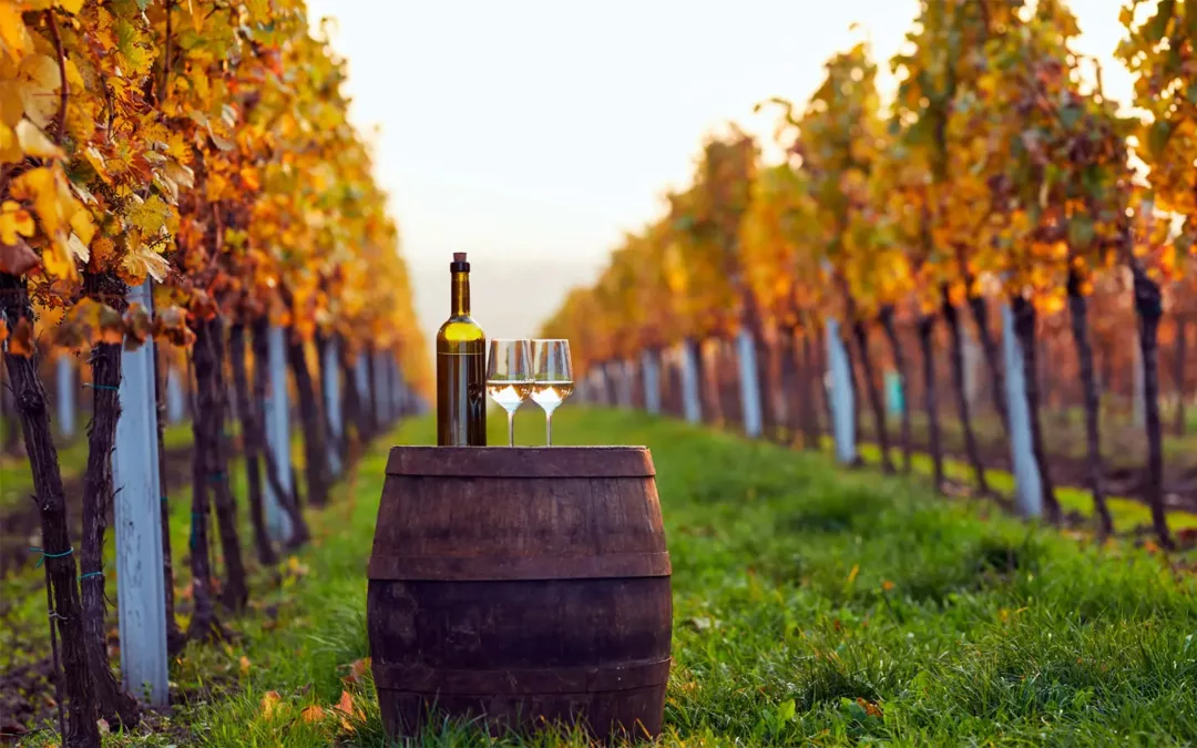 Atrápalo.cl ofrece hasta un 30% de descuento en tours de viñas