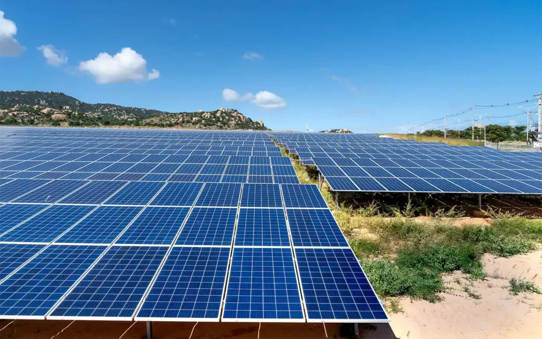 El rol clave de los seguros en el sector de energías renovables