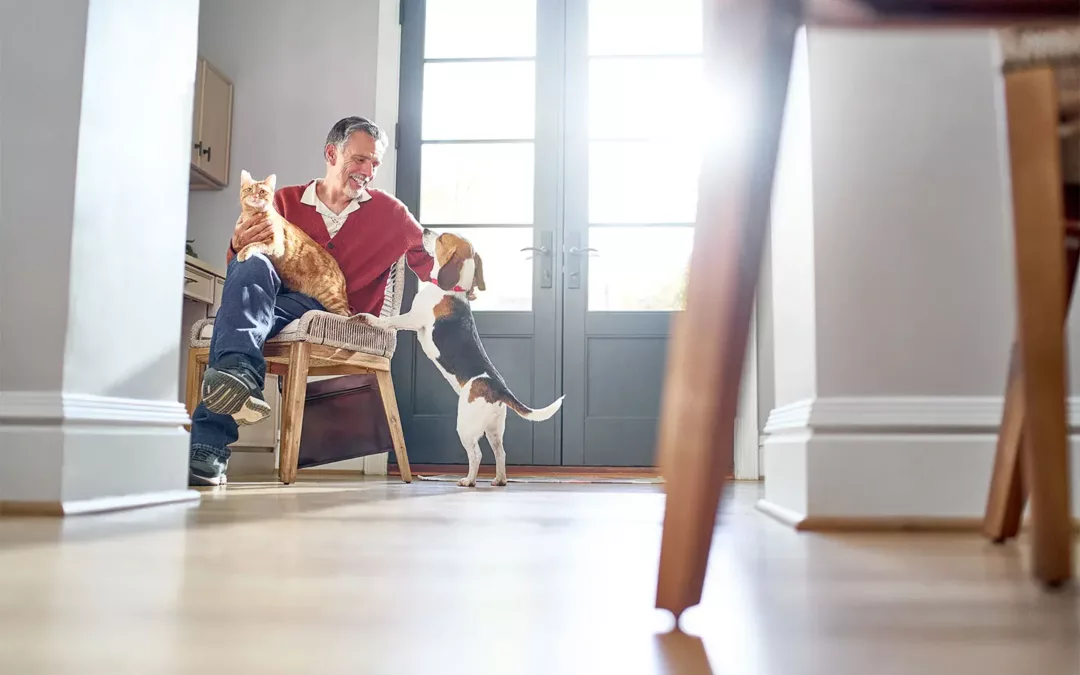 ¡Nuestras mascotas también!: Temporada de Alergias en Gatos y Perros