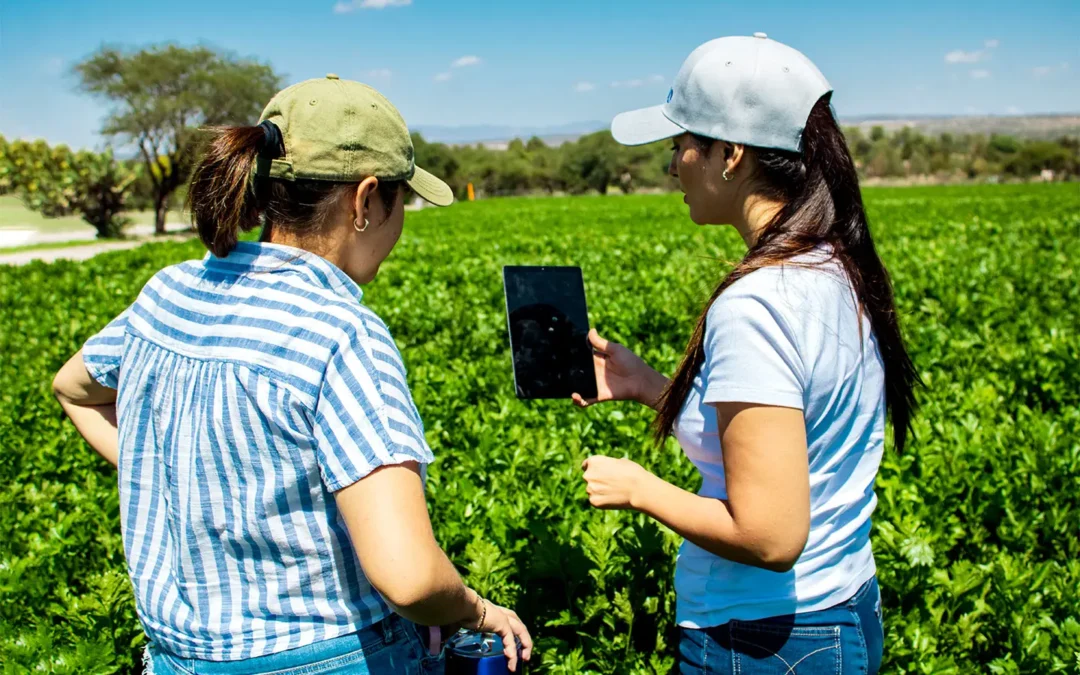 Intel logra el estatus de Agua Neta Positiva en México