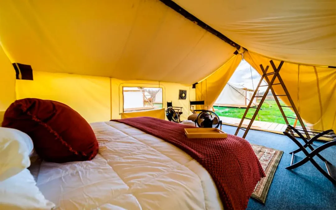 Safari Wilderness, experimente la aventura de un auténtico safari en Florida
