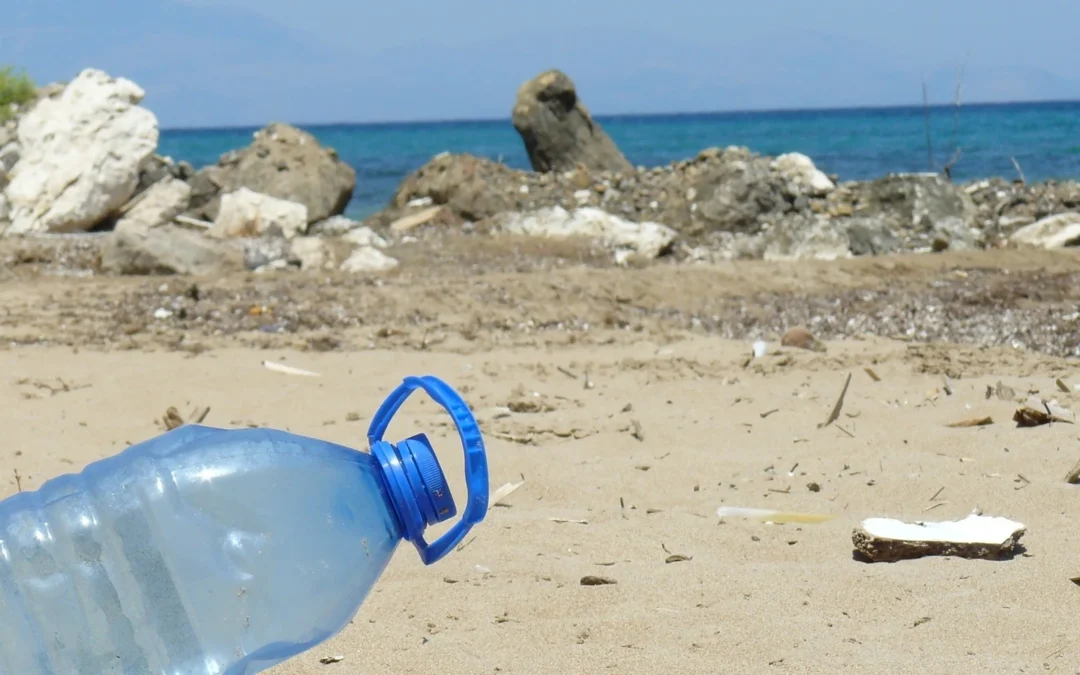 Goodyear y sus colaboradores se sumaron al Día Internacional de Limpieza de Playas