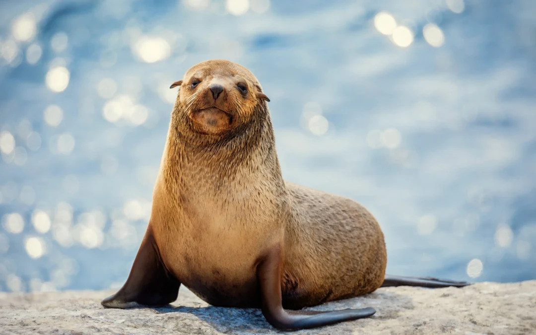 Review de La Vida Secreta de los Animales