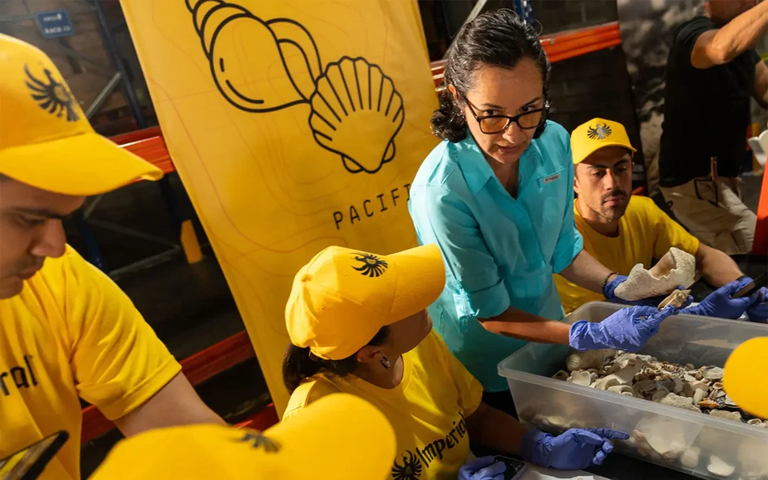 Costa Rica hizo posible la devolución de 36.000 conchas a su lugar de origen