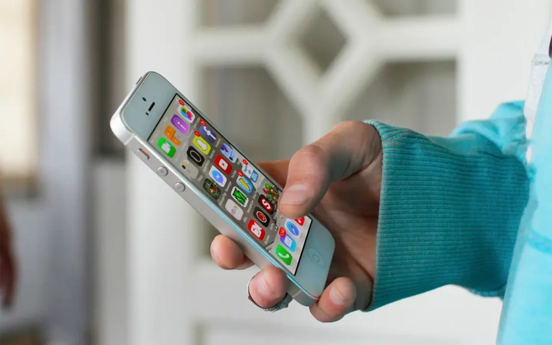 nueva función de anuncios para empresas en ‘Estados’ de WhatsApp