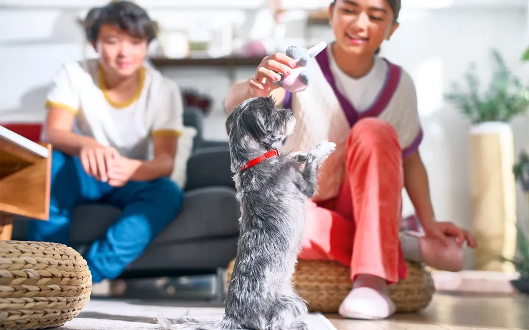 Estas son las frutas de temporada que le puedo dar a mi mascota