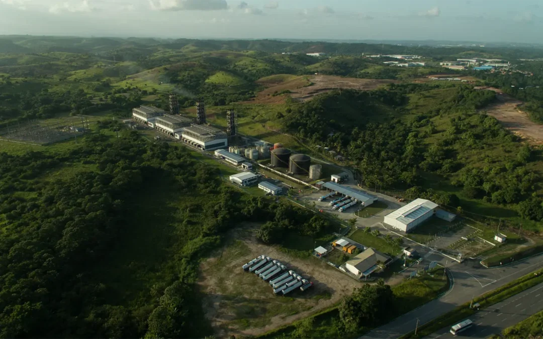 Primera prueba mundial que convierte la caña de azúcar en energía limpia