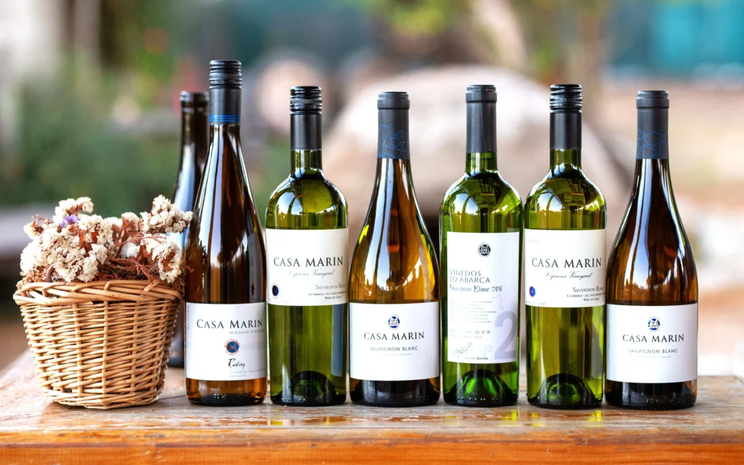Casa Marín prepara fiesta de la Vendimia más grande de su historia