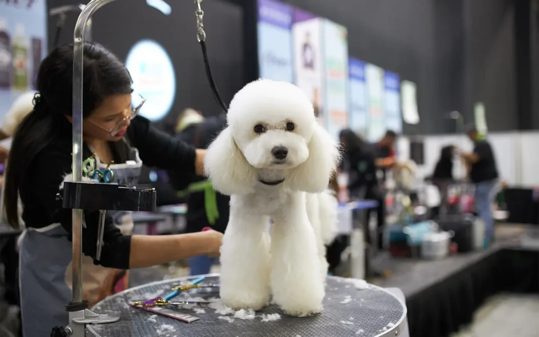 Llegó mayo y ya comienza la cuenta regresiva para Expo Mascotas & Animales