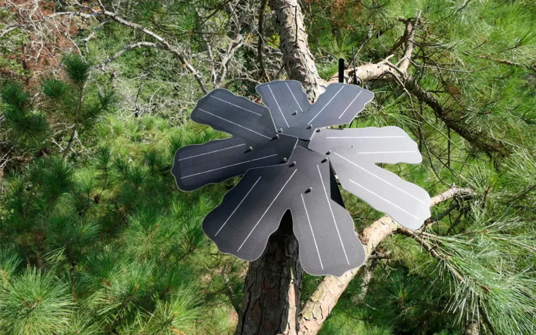Huawei fortalece la protección ambiental con lanzamiento de nueva fase del proyecto Tech4Nature