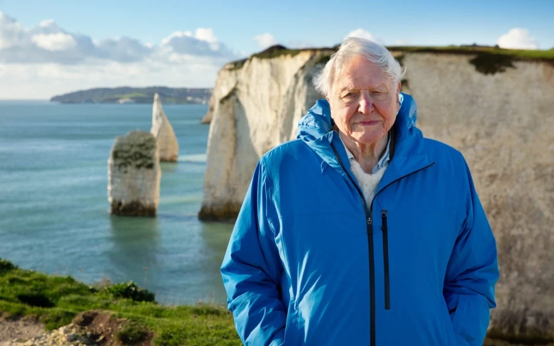 Review de Océanos con David Attenborough