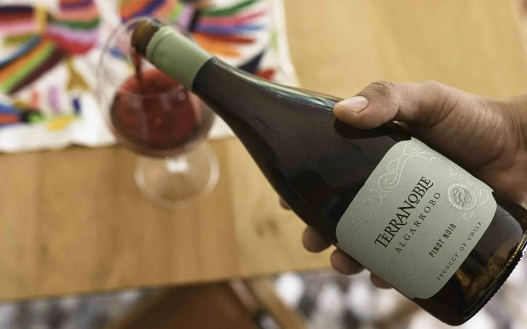 Algarrobo de Viña Terranoble, elegido uno de los mejores Pinot Noir de Chile en los Decanter World Wine Awards 2025