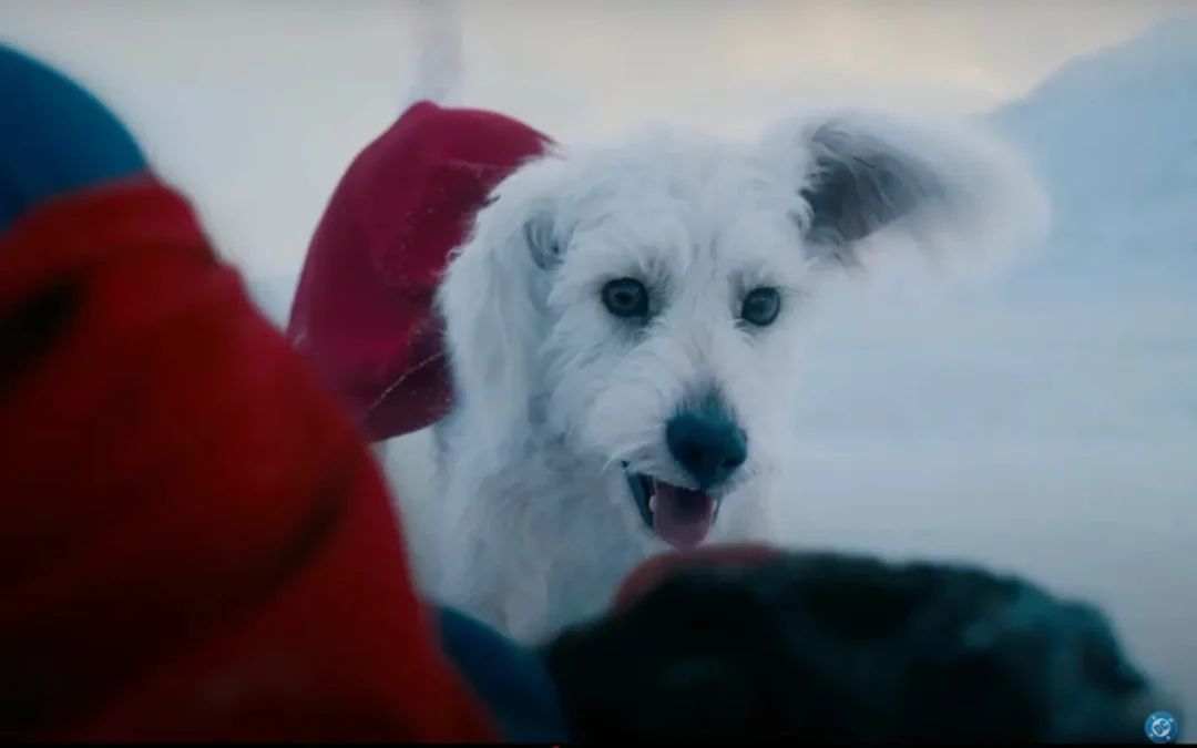 Krypto inspira: crece la adopción de perros tras el estreno de «Superman»