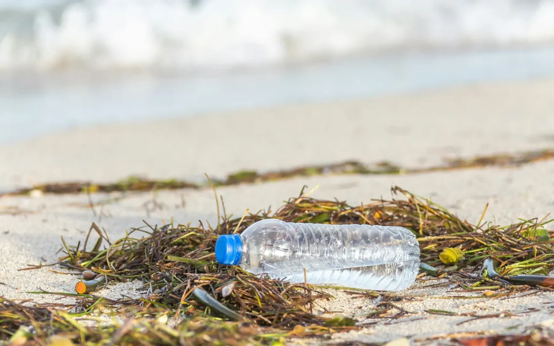 Día Marítimo Mundial: Fensa invita a proteger los océanos con acciones desde el hogar