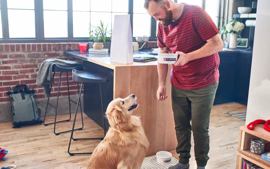 La ciencia detrás de la alimentación de tu mascota