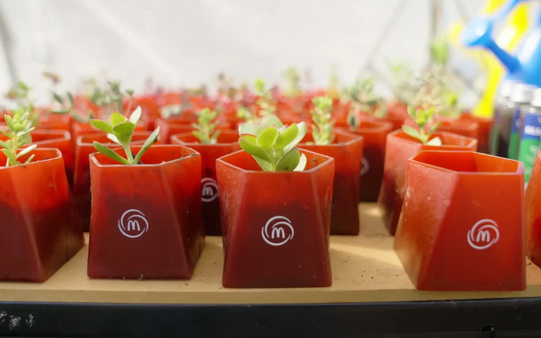 McDonald’s transforma la industria con instalación de Huerto Urbano en restaurante de Macul