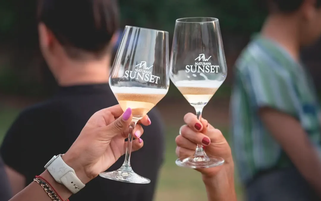 Maturana Sunset Festival celebró su sexta edición con más de 3 mil personas en el Valle de Colchagua