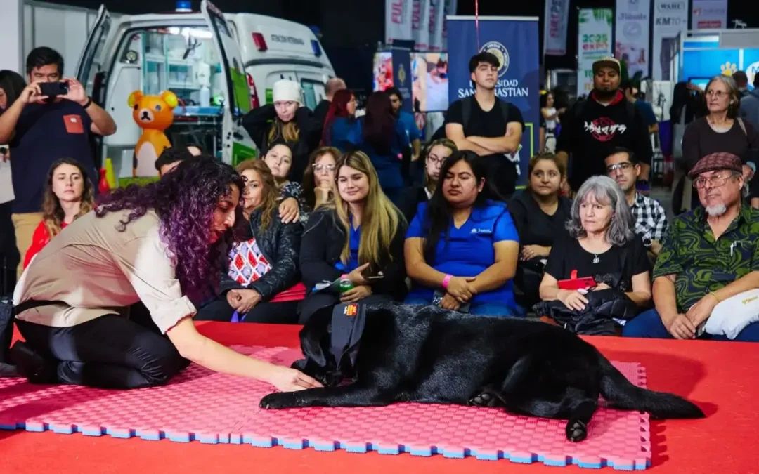 Expo Mascotas & Animales dará un impulso a la tendencia «Pet Parenting»
