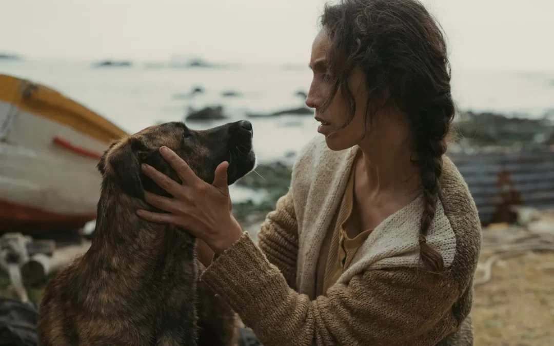 Perra chilena rescatada emociona en Cannes: Yuri gana el Palm Dog Award por La Perra