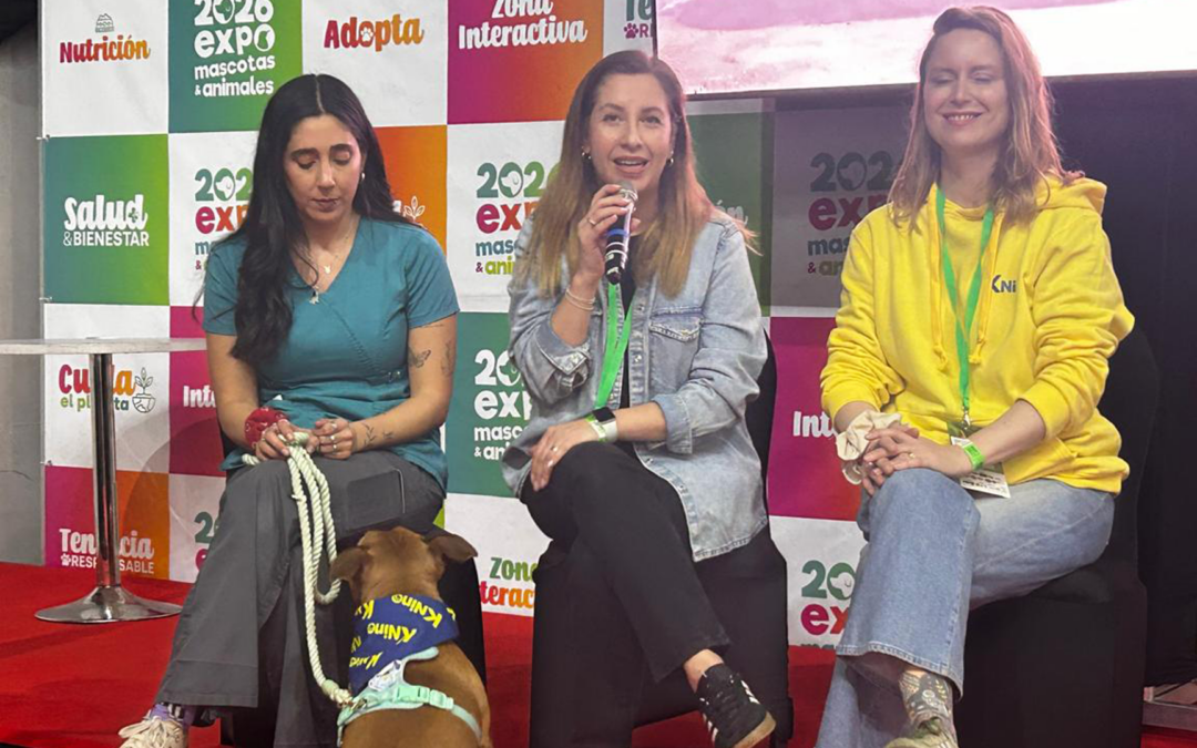 Las mascotas también tienen pantalla: KNino debutó en Expo Mascotas junto a Claro y VTR