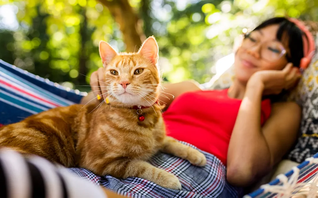 La guía en 5 pasos para que tu felino viva más y mejor