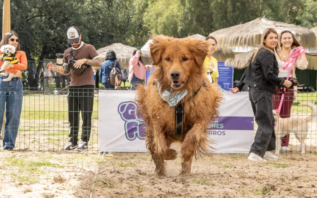 Vuelve GuauFest: el primer parque de diversiones 100% para perros abre la preventa de su segunda edición