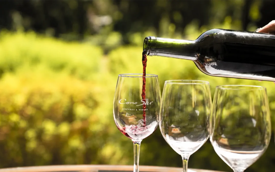 Vino chileno: cuando el origen construye una identidad